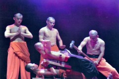 China - Beijing - Kung Fu show at Red Theatre