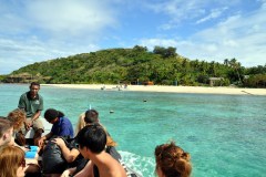 Fiji - Manta Ray Island