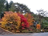 japan-20091113-012-nikko-toshugo-shrine