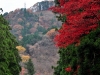 japan-20091113-036-nikko-toshugo-shrine